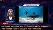 One Shark Super Fan Will Get $1000 to Watch Shark Week This Summer — and it Could Be You - 1Breaking