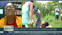 María Kazé:Ley Campesina en Brasil sería beneficiosa para agricultores