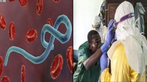 Ebola Spreading In New Way:WHO వ్యాక్సిన్ ఇస్తున్నా రూపాన్ని మార్చుకుంటూ తీవ్రరూపం దాలుస్తున్న ఎబోలా