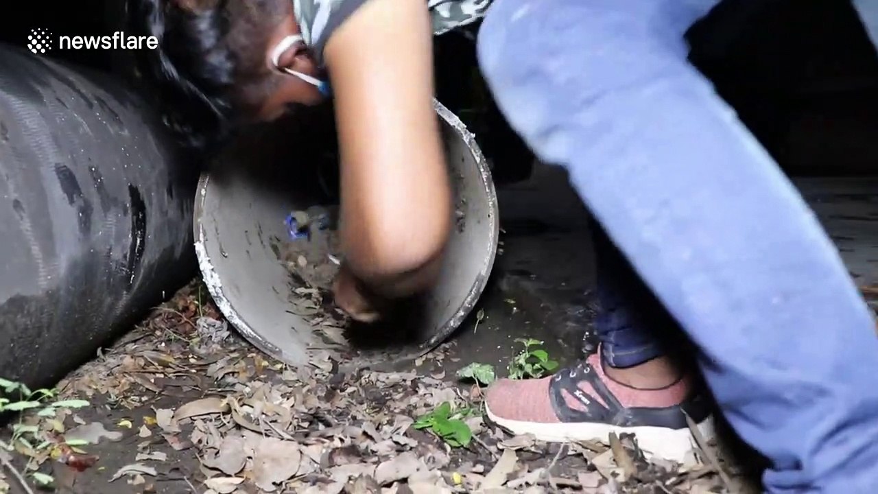 Rescuers have difficulty capturing aggressive 10-feet-long python