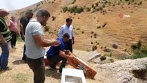 Şırnak'ta 750 kınalı keklik doğaya bırakıldı