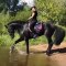 Cute And funny horse Videos Compilation cute moment of the horses - Cutest Horse