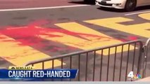 Someone Dumped Red Paint on the Black Lives Matter Mural Outside Trump Tower - NBC New York