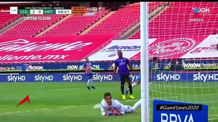 Adrenalina | Programa Completo 12/julio/2020