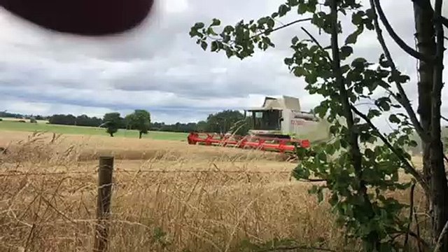 Une moissonneuse-batteuse en action