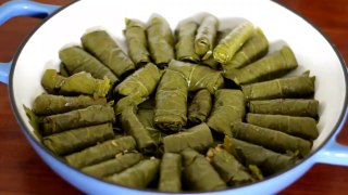 Ultimate Dolma Recipe