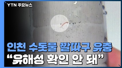 인천 수돗물에서 '깔따구류' 유충...3만 6천여 세대 비상 / YTN