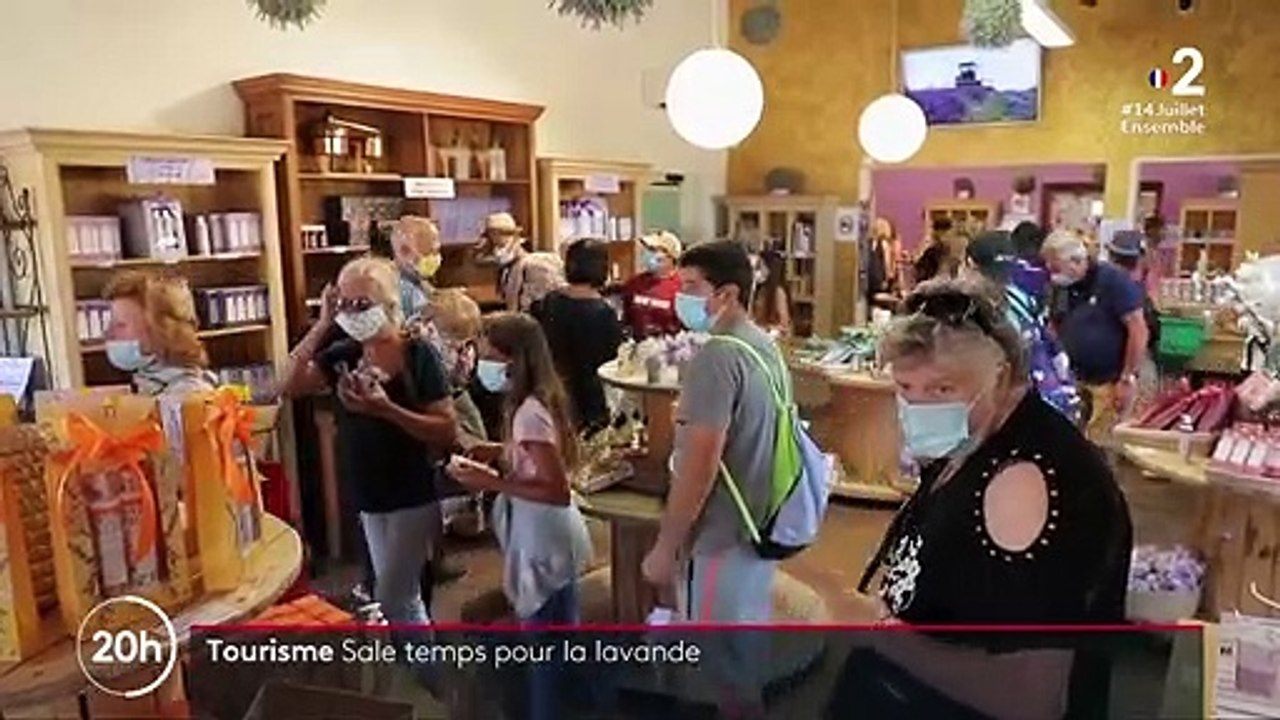 Alpes-de-Haute-Provence : la lavande impactée p...