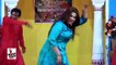 VE GUJRA VE - SUNEHRI KHAN 2016 MUJRA - PAKISTANI MUJRA DANCE - NASEEBO LAL