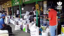 Verduras y hortalizas bajan de precio en mercados de Nicaragua
