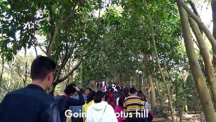 Shenzhen China City Tour