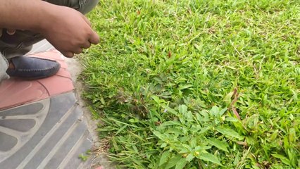 Bangabandhu Sheikh Mujib Safari Park, Video  Part - 2