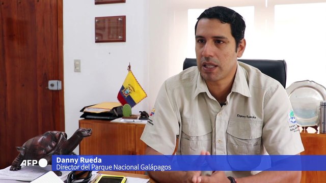 Galápagos reabre sitios turísticos y reserva marina, cerrados por la pandemia