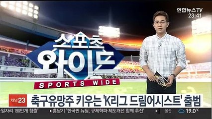 축구유망주 키우는 'K리그 드림어시스트' 출범