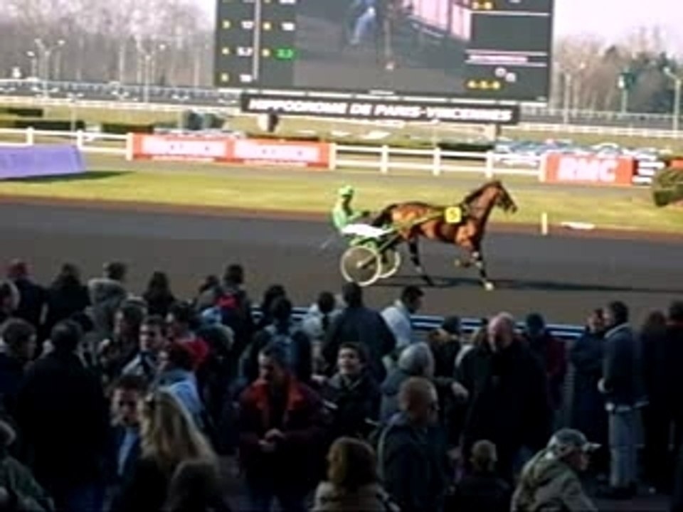 rex du rib