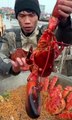 Fishermen Eat Seafood  Fishermen Eat Super Huge Fresh Seafood  Eating Addiction [pzYoFgj2ytQ]