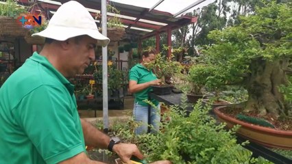 mqn-Pareja encontró en la tierra la oportunidad de trabajar140720