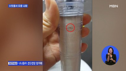 수돗물에서 '깔따구류' 유충…2만 8천 가구에 "수돗물 먹지 말아라"