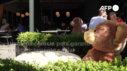 Cercados por ursos