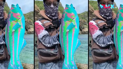 Geger Penemuan Ikan Avatar di Laut Jepang