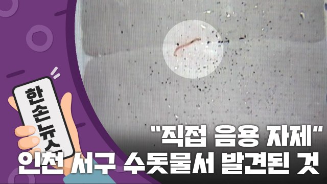 [15초 뉴스] 직접 마시지 마세요 ...인천 서구 수돗물서 발견된 것 / YTN