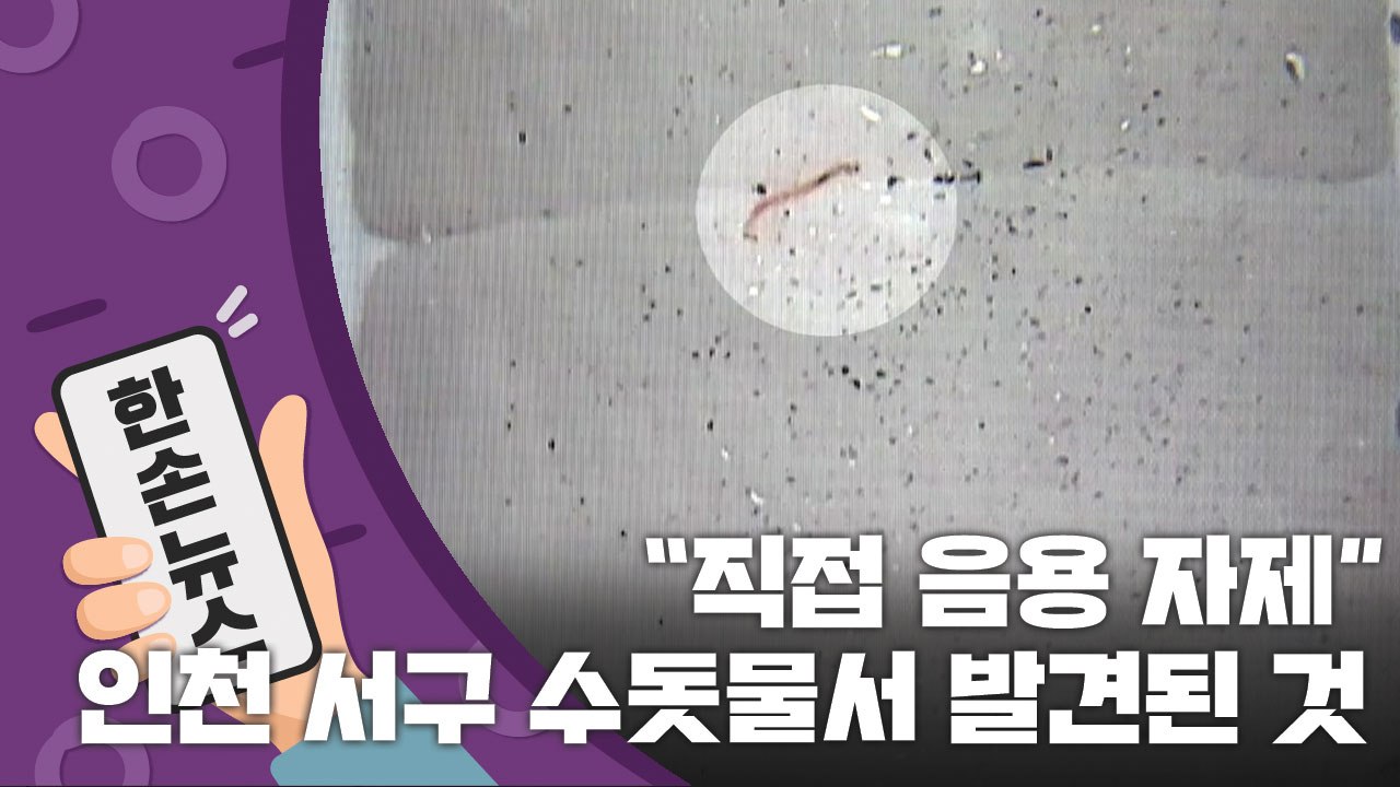 [15초 뉴스] "직접 마시지 마세요"...인천 서구 수돗물서 발견된 것 / YTN