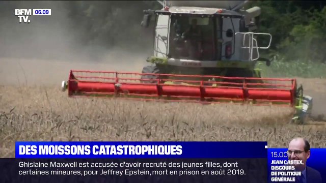 Les moissons s'annoncent catastrophiques cette année