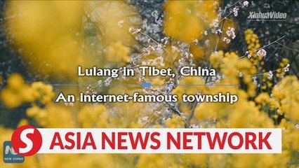Tourism brings fortune to internet-famous town in Tibet, China