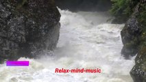 Relax in nature-Relaxing Music, Calming Music, Stress-Relief- Music-,Peaceful Music, Relax-Vol 8