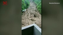 Heart-Stopping Video Shows Moment Where Man Narrowly Escapes Floodwaters