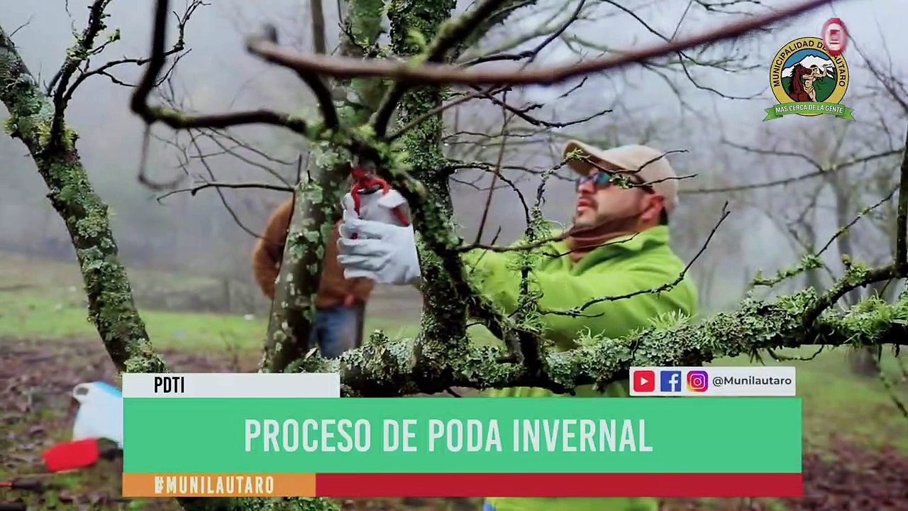 Cápsula PDTI MUNICIPALIDAD DE LAUTAR