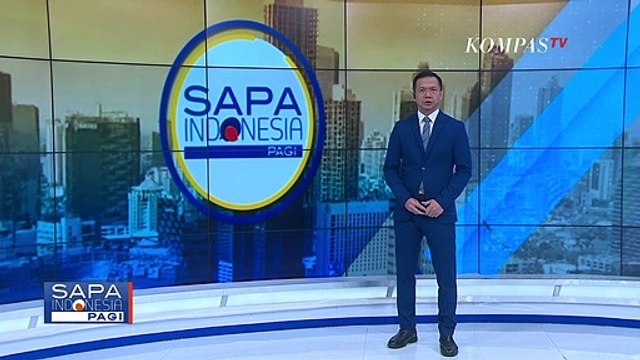 Sapi Kurban Seberat 1,2 Ton Milik Jokowi Tarik Perhatian Warga Polewali Mandar