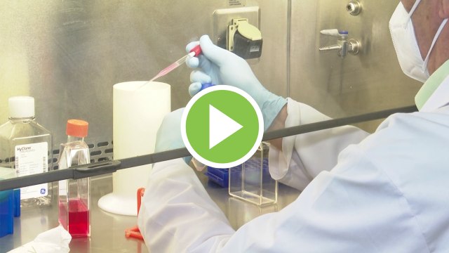 Una de las vacunas contra el coronavirus podría estar lista para 2021