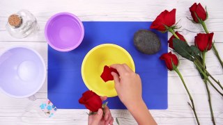 DIY HOW TO MAKE ROSE PERFUME - ideas/COMMENT FAIRE DU PARFUM DE ROSE