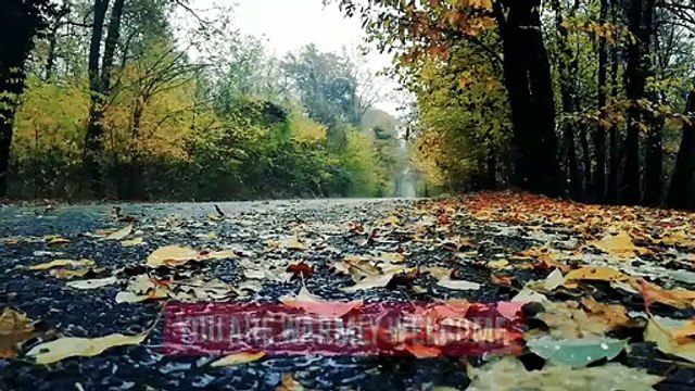 Raining with calm Music, # Focus,# Mediation, #Yoga, #Concentration, # relaxing, #Work Music, #Study