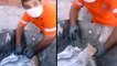 Temizlik ekipleri, ipe dolanmış yavru kediyi böyle kurtardı