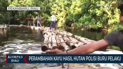 Perambahan Kayu Hasil Hutan Polisi Buru Pelaku