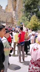 Ajloun Castle - kingdom of jordan