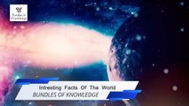 Interesting Fact of the World | 2020 Facts in Urdu/Hindi | Bundles Of Knowledge