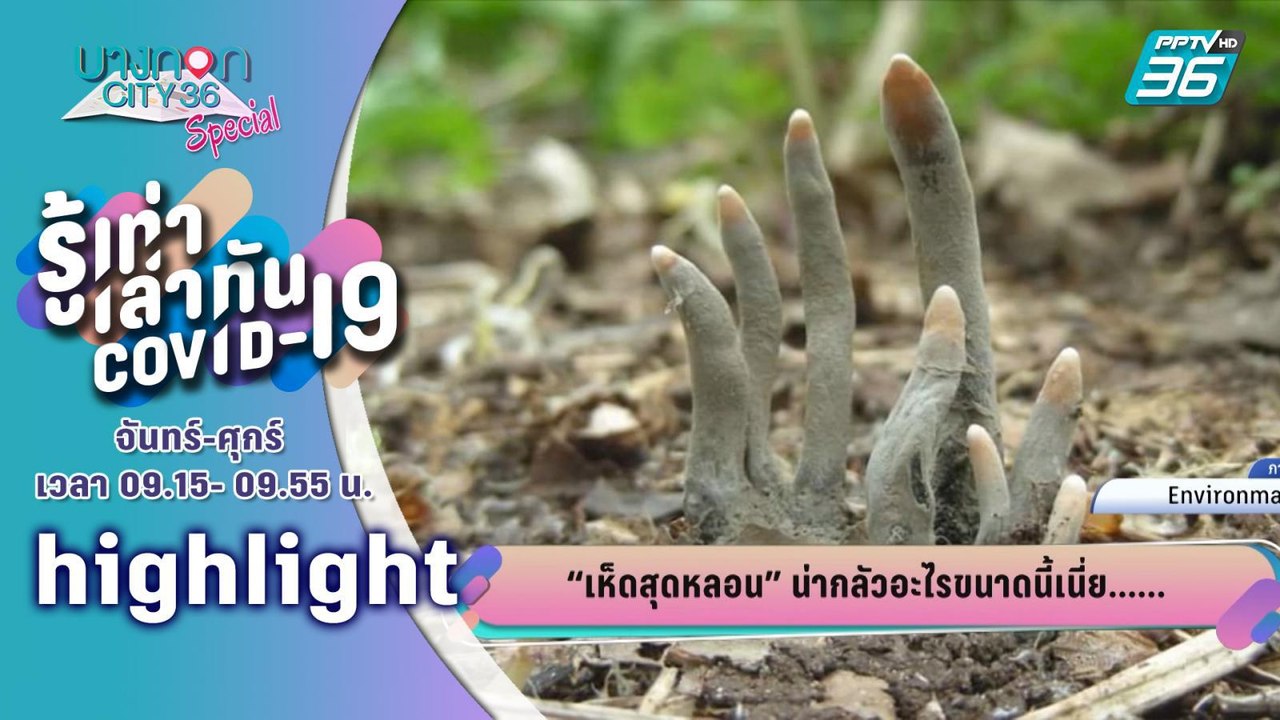 บางกอกซิตี้ เลขที่ 36 | แชร์วอน!! เห็นหลอนคล้ายมือคน | 15 ก.ค.63 