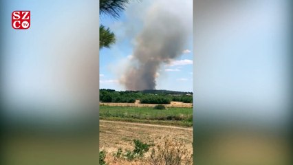 Saros'ta tartışmalı bölgede orman yangını çıktı