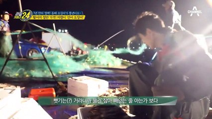 ※눈 깜짝할 새 완판※ 활어의 절반 가격인 '선어 오징어'?!