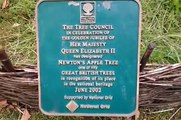 Woolsthorpe Manor near Grantham, Lincolnshire - Sir Isaac Newtons Apple Tree
