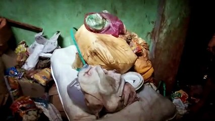 फतेहपुर: आटा चक्की व किराना की दुकान में लगी भीषण आग से लगभग 10 लाख का हुआ नुकसान