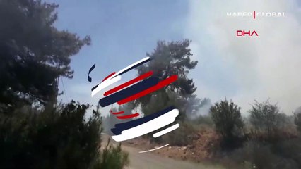 Gelibolu'da orman yangını