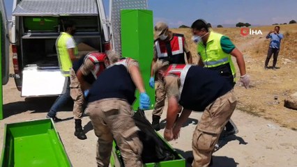 Van Gölü’nde 2 ceset daha çıkarıldı