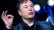 Tesla-Fabrik im Brandenburger Wald: Elon Musk zeigt 