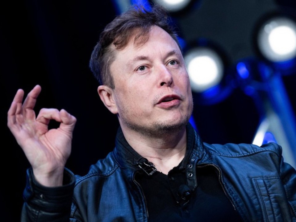 Tesla-Fabrik im Brandenburger Wald: Elon Musk zeigt 