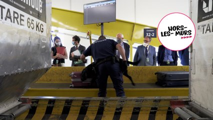 [Hors les murs] Trafic de stupéfiants  en provenance de Guyane : déplacement  à l’aéroport d’Orly