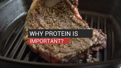 The Importance of Protein in Your Diet
